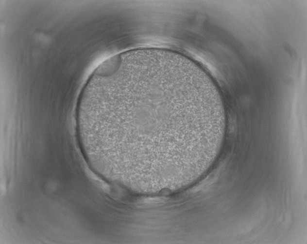 X0000114661471200911171101