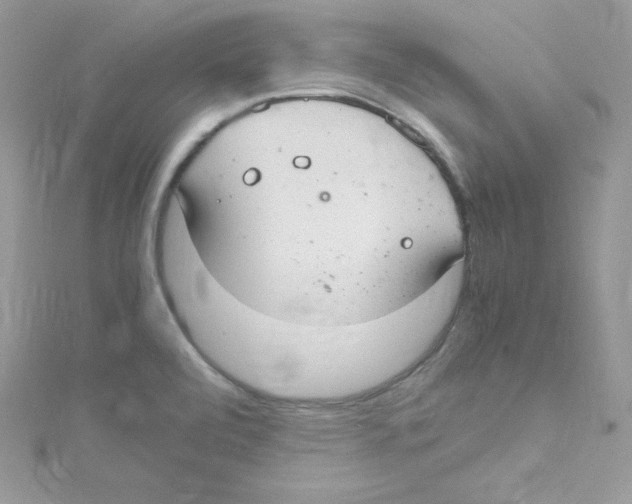 X0000114661472200911171101