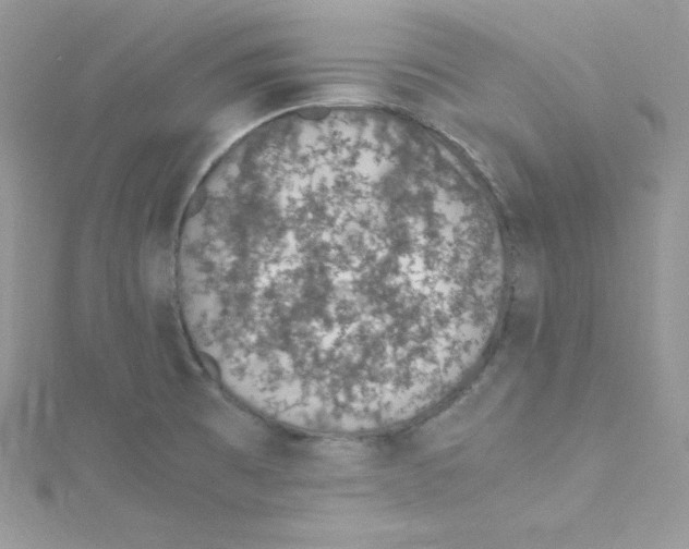 X0000114661473200911171101