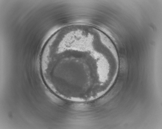 X0000114661474200911171101