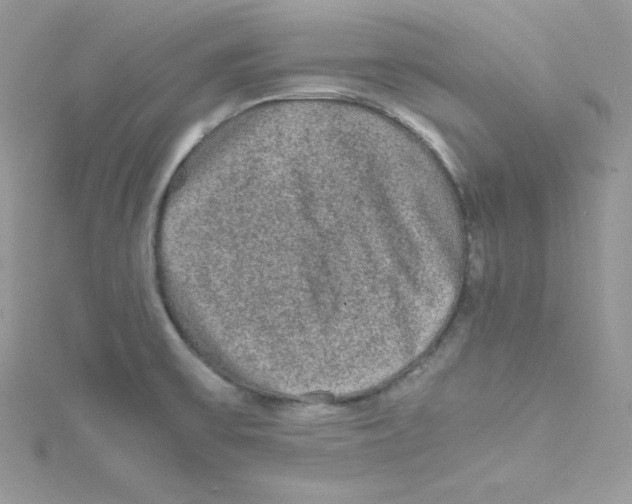 X0000114661475200911171101