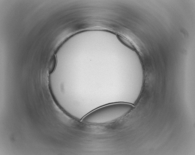 X0000114661476200911171101