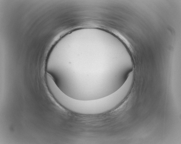 X0000114661477200911171101