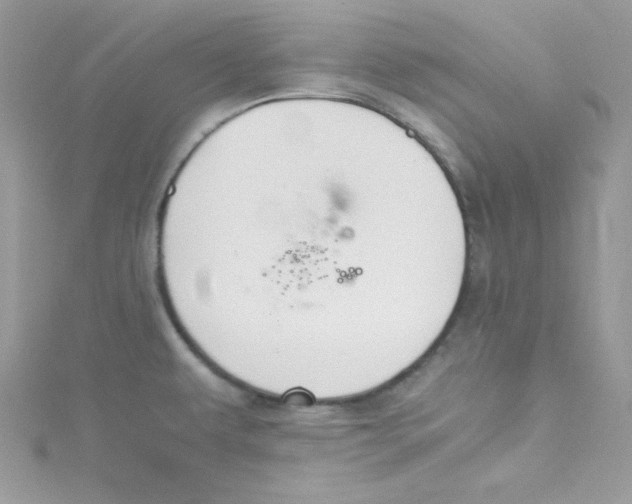 X0000114661479200911171100