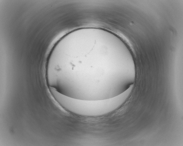 X0000114661480200911171100