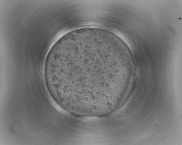 X0000114661482200911171100