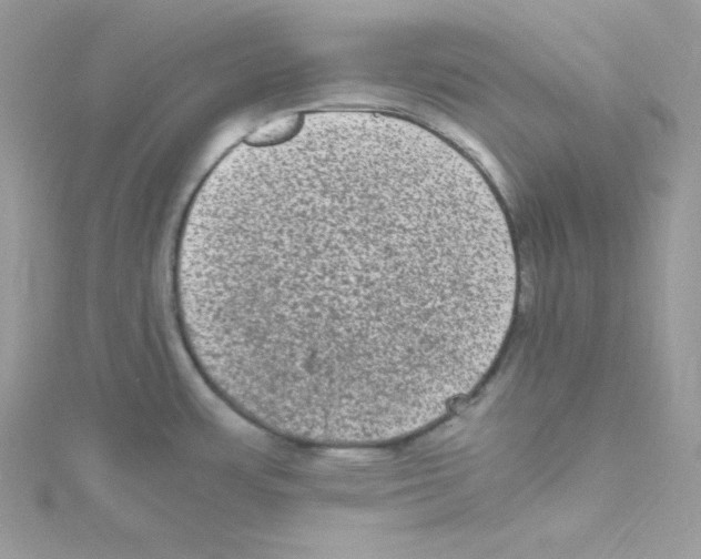 X0000114661483200911171100