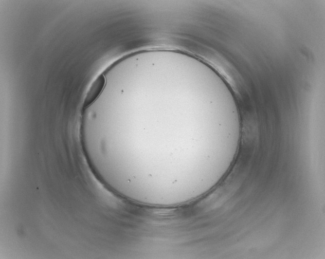 X0000114661484200911171100