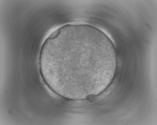 X0000114661485200911171100