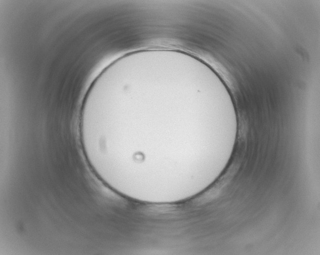 X0000114661486200911171100