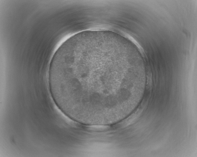 X0000114661487200911171100