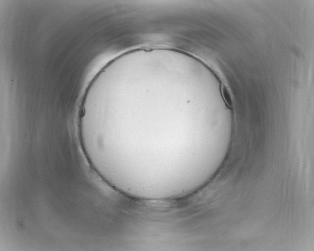 X0000114661488200911171100