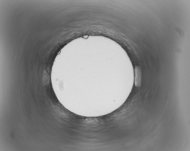 X0000114661491200911171100