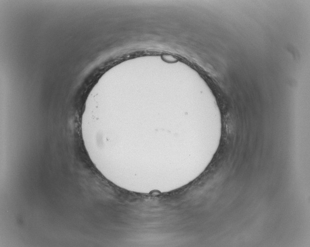 X0000114661495200911171100