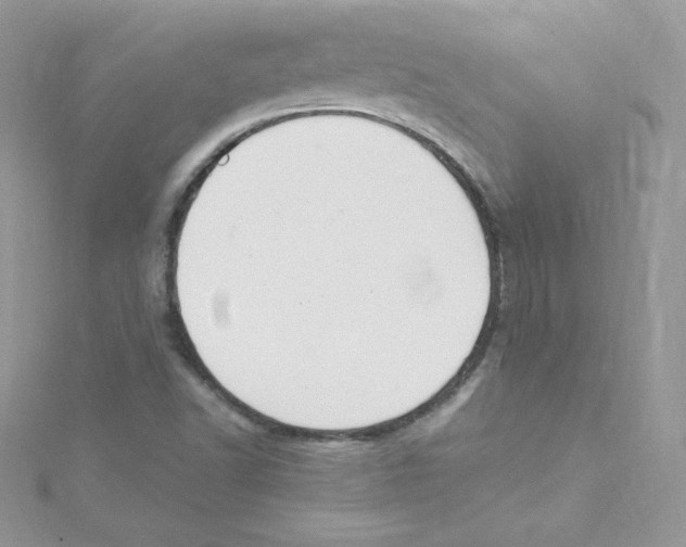 X0000114661502200911171100