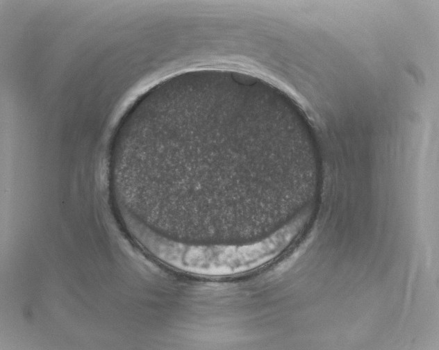 X0000114661506200911171100