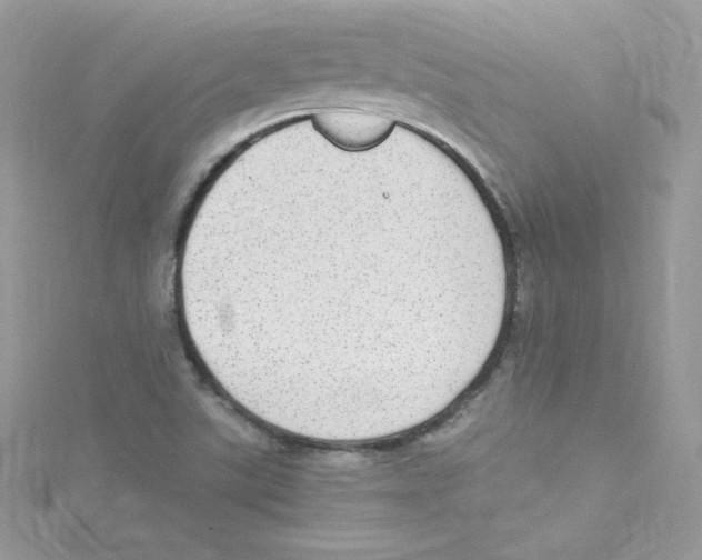 X0000114661507200911171100