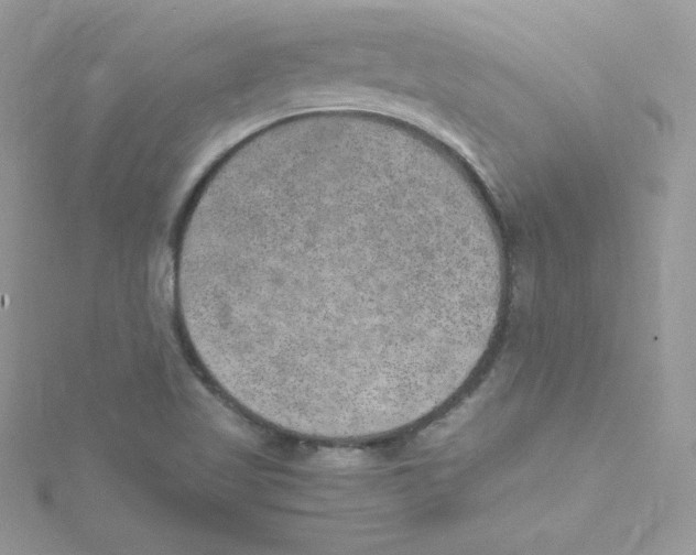 X0000114661509200911171100