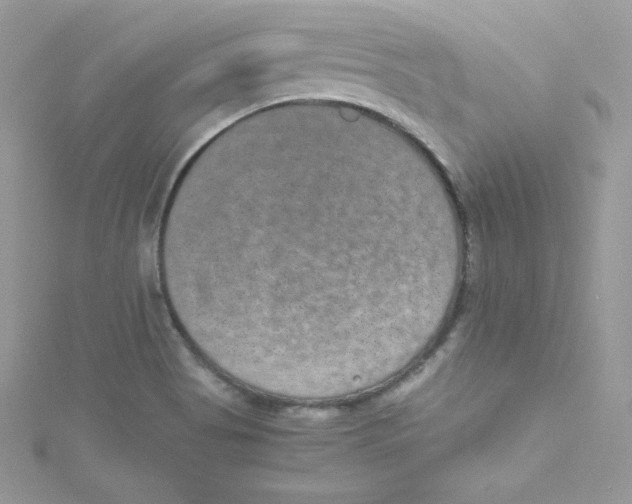 X0000114661513200911171100