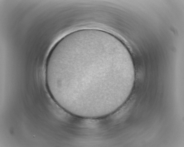 X0000114661514200911171100