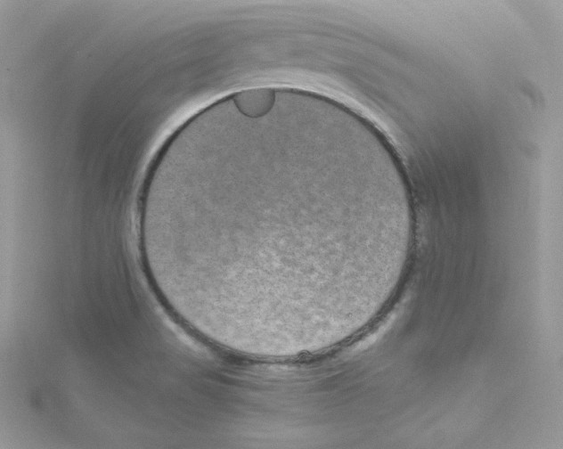 X0000114661517200911171100