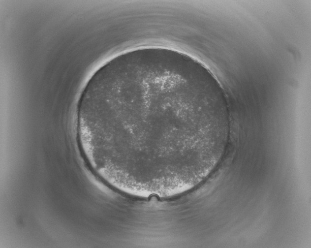 X0000114661519200911171100