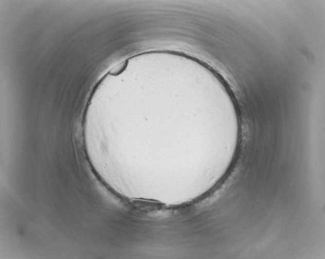 X0000114661521200911171100