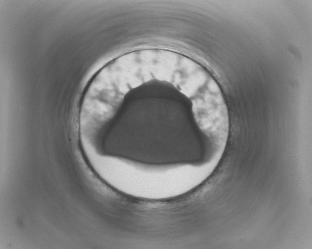 X0000114661522200911171100