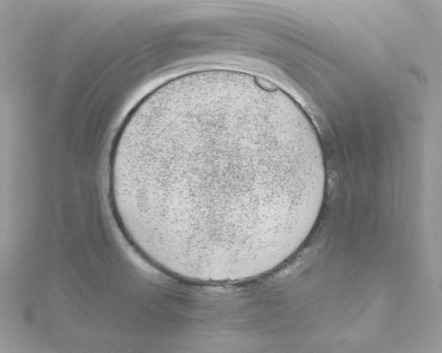 X0000114661523200911171100