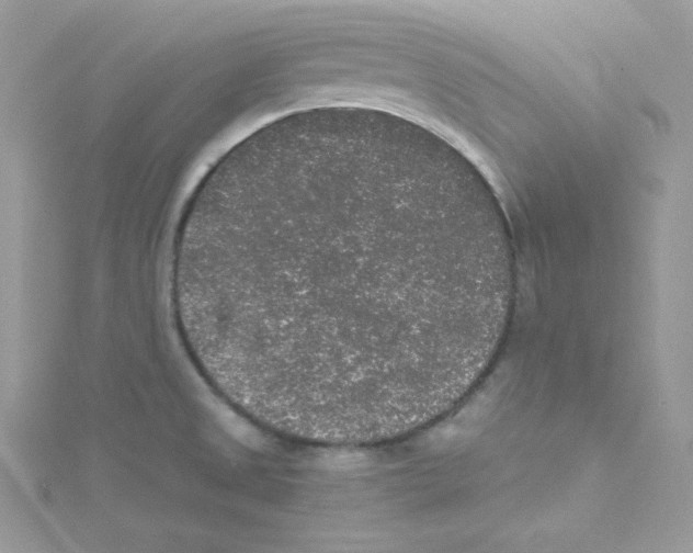 X0000114661525200911171100