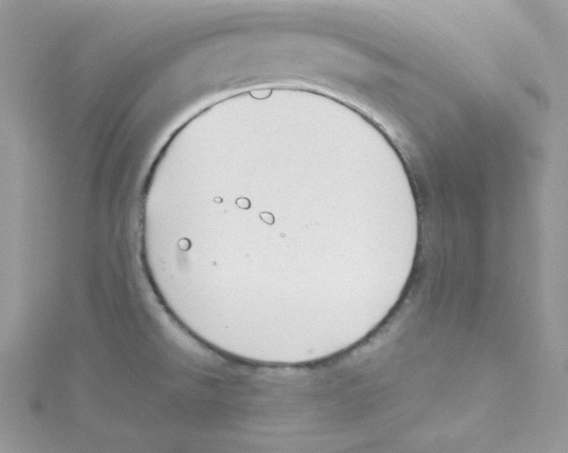 X0000114661526200911171100