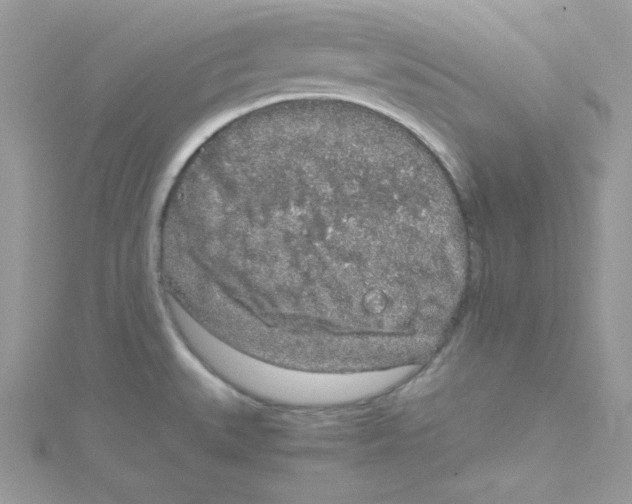 X0000114661527200911171100