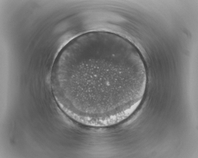 X0000114661529200911171100