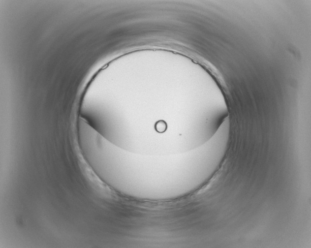 X0000114661530200911171100