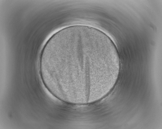 X0000114661531200911171100