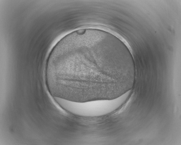 X0000114661533200911171100