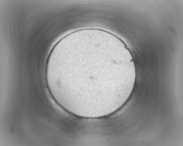 X0000114661534200911171100