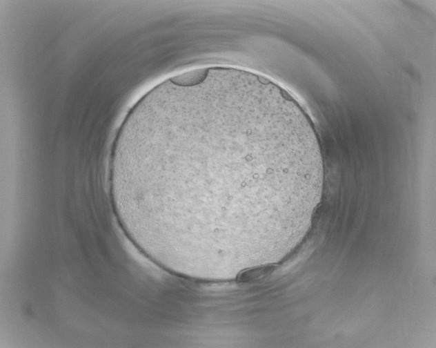 X0000114661535200911171100