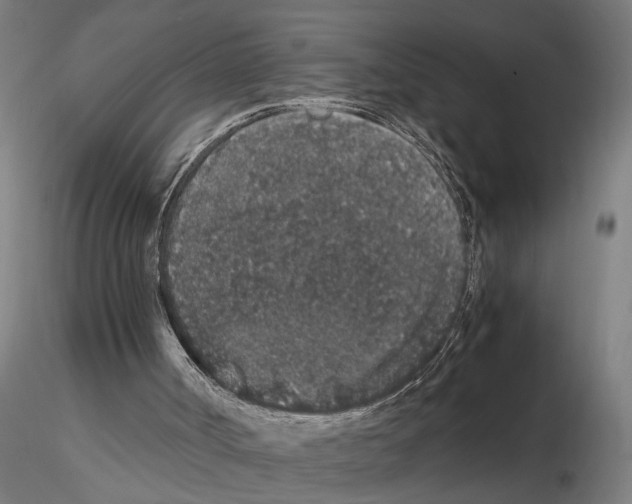 X0000114660002200912011146