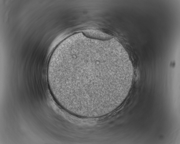 X0000114660004200912011146