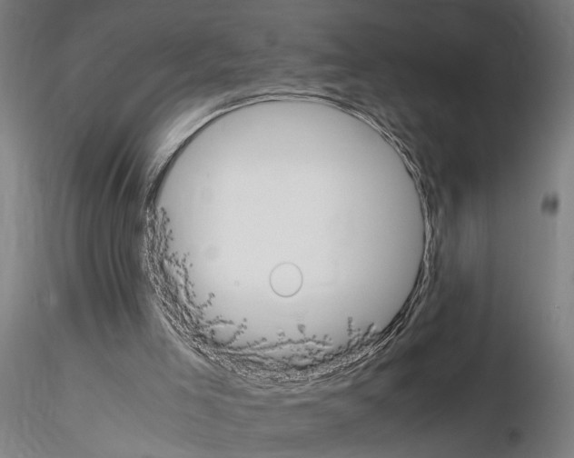 X0000114660005200912011146