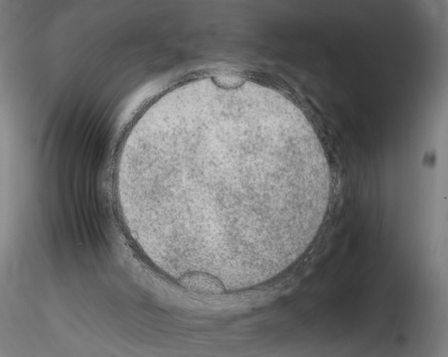 X0000114660006200912011146