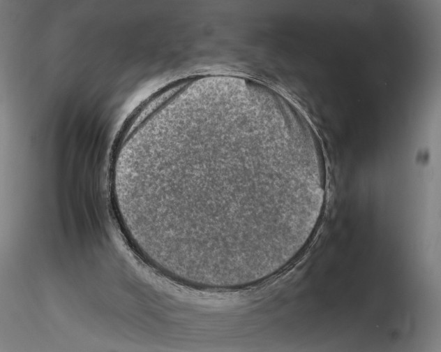 X0000114660008200912011146