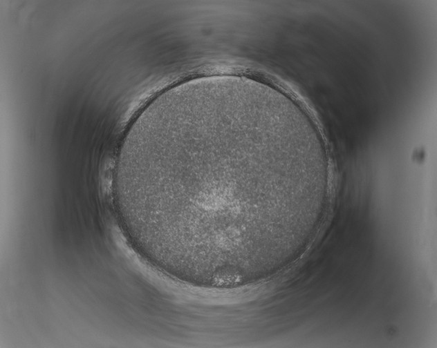 X0000114660010200912011146