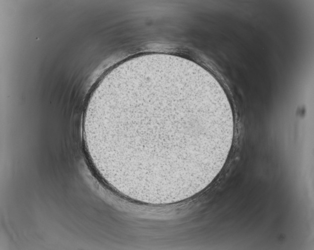 X0000114660011200912011146