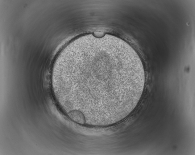 X0000114660012200912011146