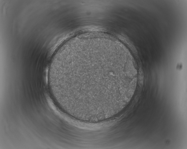 X0000114660014200912011146