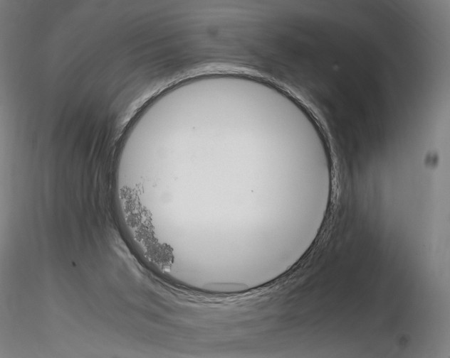 X0000114660015200912011146