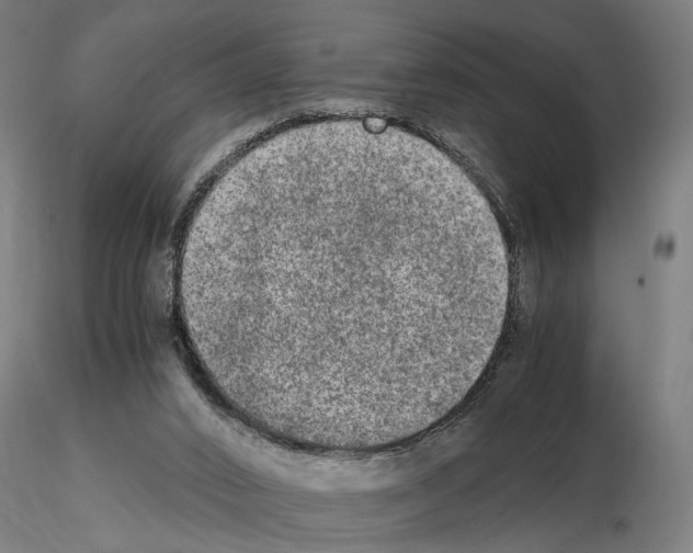 X0000114660016200912011146