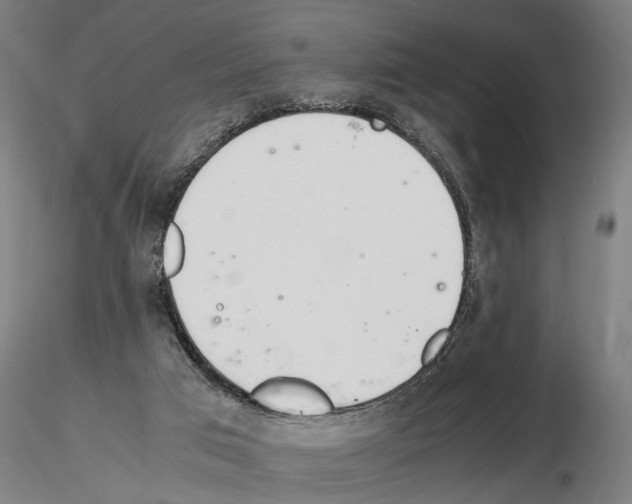 X0000114660017200912011146